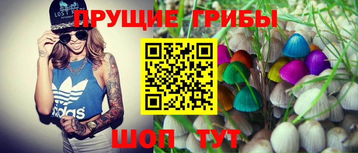 Галлюциногенные грибы прущие грибы Александров